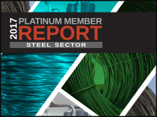 A cropped image of the 2017 Platinum Member Report cover.